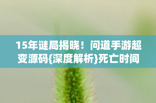 问道手游超变源码图片