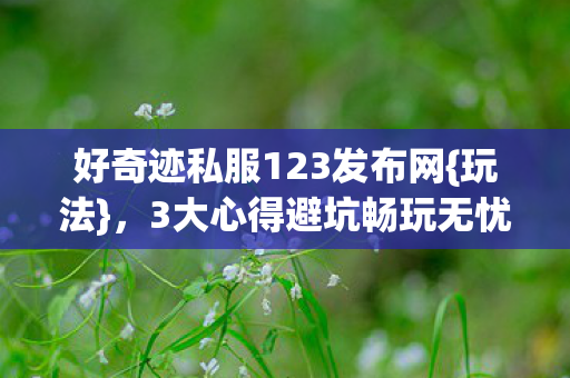 好奇迹私服123发布网图片