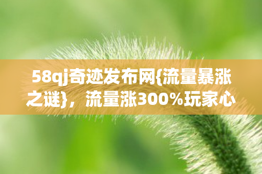 58qj奇迹发布网图片
