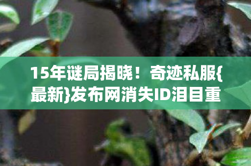 发布网消失ID泪目重逢图片