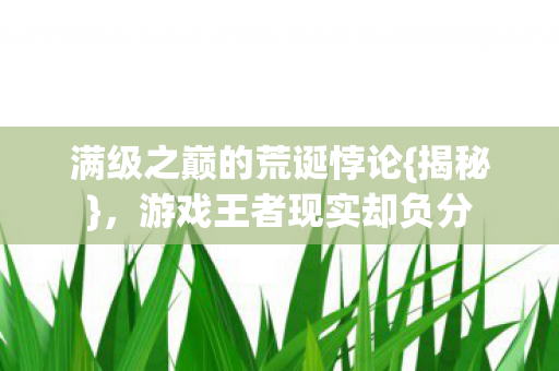满级之巅的荒诞悖论图片