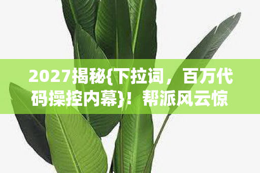 2027揭秘{下拉词,百万代码操控内幕}!帮派风云惊悚来袭 2027揭秘{下拉词,百万代码操控内幕}!帮派风云惊悚来袭