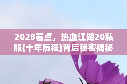 热血江湖20私服图片