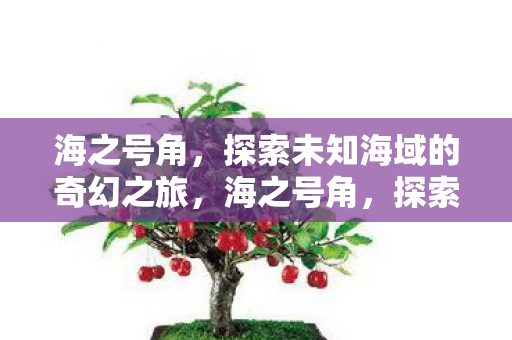 海之号角,探索未知海域的奇幻之旅,海之号角,探索未知海域的奇幻冒险 海之号角,探索未知海域的奇幻之旅,海之号角,探索未知海域的奇幻冒险