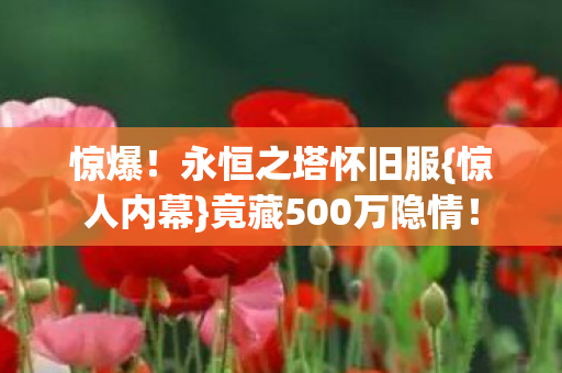 竟藏500万隐情图片