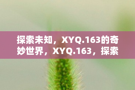 探索未知,XYQ.163的奇妙世界,XYQ.163,探索未知,开启奇妙世界之旅 探索未知,XYQ.163的奇妙世界,XYQ.163,探索未知,开启奇妙世界之旅