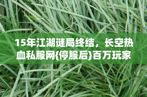15年江湖谜局终结图片