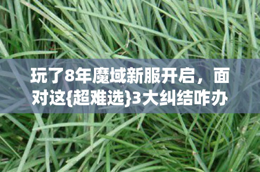 玩了8年魔域新服开启图片