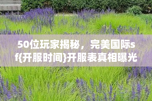 50位玩家揭秘图片