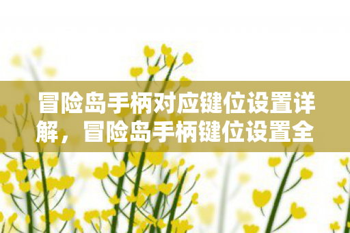 冒险岛手柄对应键位设置详解,冒险岛手柄键位设置全解析 冒险岛手柄对应键位设置详解,冒险岛手柄键位设置全解析