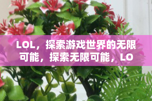 LOL,探索游戏世界的无限可能,探索无限可能,LOL游戏世界之旅 LOL,探索游戏世界的无限可能,探索无限可能,LOL游戏世界之旅