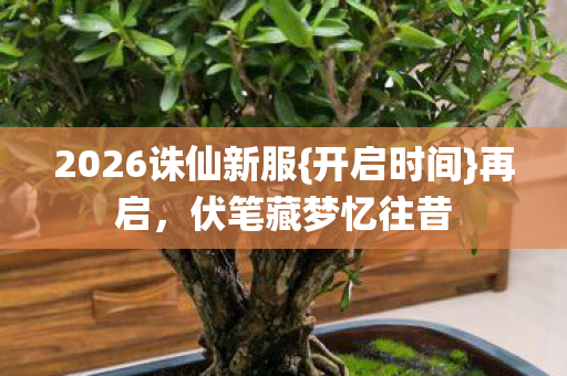 2026诛仙新服图片