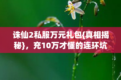 充10万才懂的连环坑图片