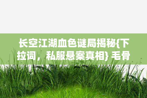 长空江湖血色谜局揭秘图片