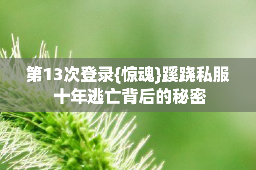 蹊跷私服 十年逃亡背后的秘密图片