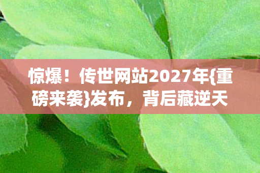 惊爆!传世网站2027年{重磅来袭}发布,背后藏逆天秘密? 惊爆!传世网站2027年{重磅来袭}发布,背后藏逆天秘密?
