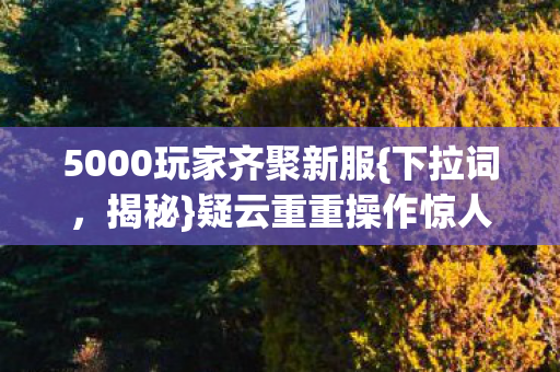 5000玩家齐聚新服{下拉词，揭秘}疑云重重操作惊人