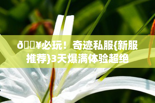 3天爆满体验超绝图片