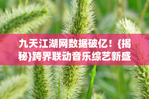 跨界联动音乐综艺新盛宴图片