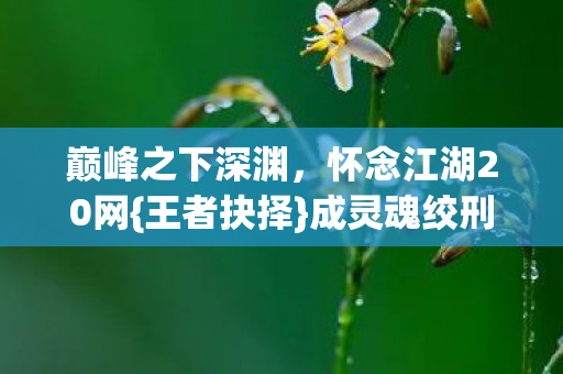 怀念江湖20网图片