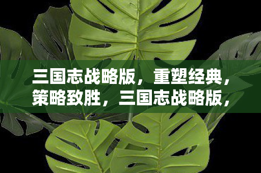三国志战略版，重塑经典，策略致胜，三国志战略版，重塑经典策略致胜