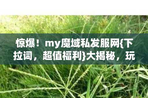 my魔域私发服网图片