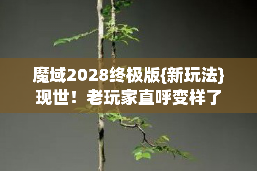 魔域2028终极版图片