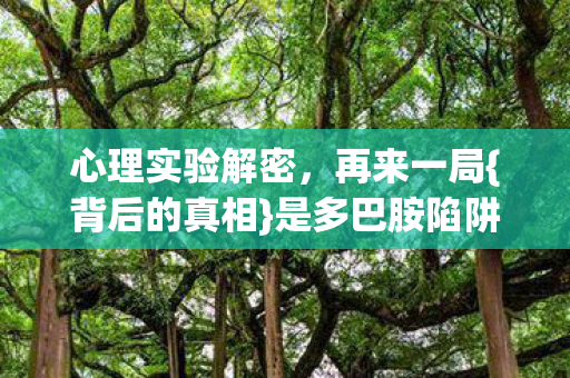 是多巴胺陷阱机制图片