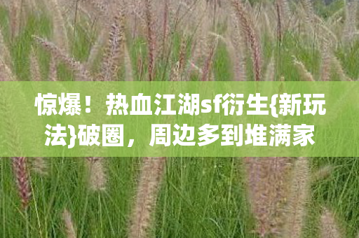 热血江湖sf衍生图片
