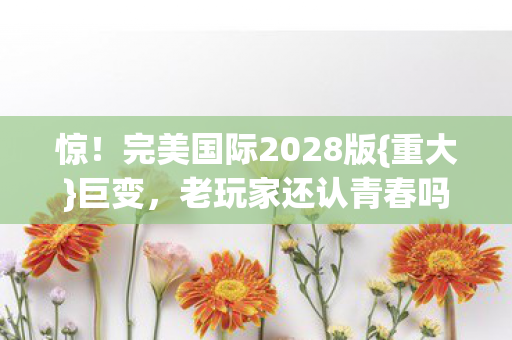 完美国际2028版图片