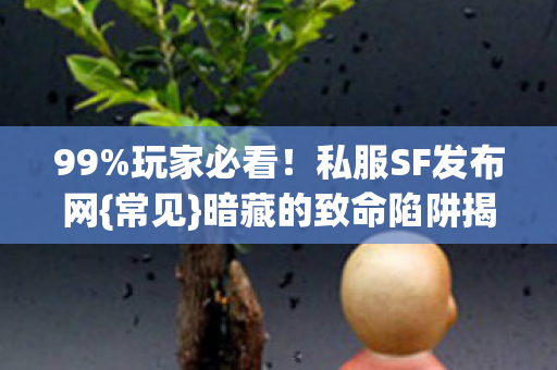 99%玩家必看!私服SF发布网{常见}暗藏的致命陷阱揭秘 99%玩家必看!私服SF发布网{常见}暗藏的致命陷阱揭秘