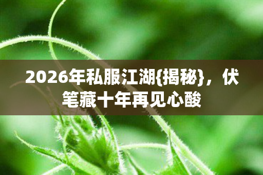 2026年私服江湖{揭秘},伏笔藏十年再见心酸 2026年私服江湖{揭秘},伏笔藏十年再见心酸