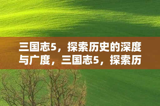 三国志5,探索历史的深度与广度,三国志5,探索历史的深度与广度 三国志5,探索历史的深度与广度,三国志5,探索历史的深度与广度