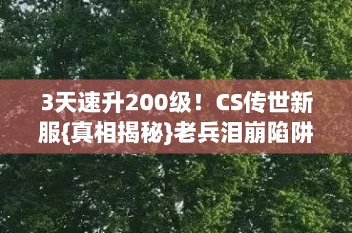 3天速升200级图片