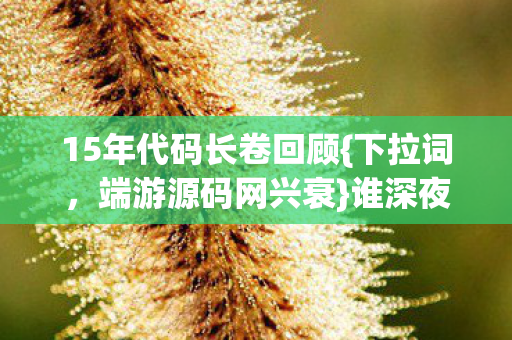 15年代码长卷回顾{下拉词，端游源码网兴衰}谁深夜点灯？