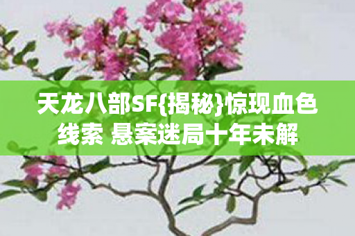 天龙八部SF{揭秘}惊现血色线索 悬案迷局十年未解 天龙八部SF{揭秘}惊现血色线索 悬案迷局十年未解