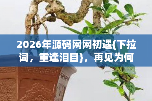 2026年源码网网初遇{下拉词，重逢泪目}，再见为何情难自已鼻子酸？