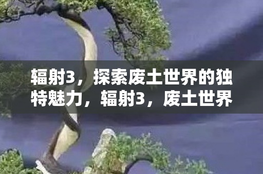 辐射3，探索废土世界的独特魅力，辐射3，废土世界的独特魅力探索之旅