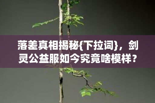 剑灵公益服如今究竟啥模样图片