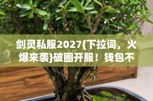 剑灵私服2027图片