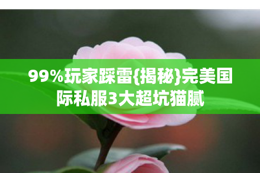 完美国际私服3大超坑猫腻图片
