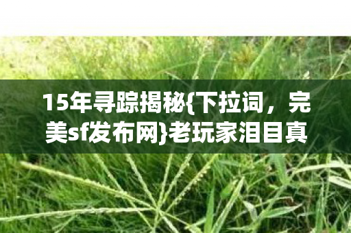15年寻踪揭秘图片