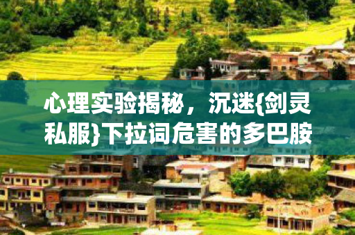 下拉词危害的多巴胺陷阱图片