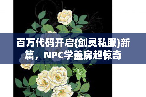 NPC学盖房超惊奇图片