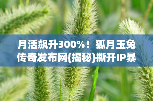 月活飙升300%!狐月玉兔传奇发布网{揭秘}撕开IP暴利路 月活飙升300%!狐月玉兔传奇发布网{揭秘}撕开IP暴利路