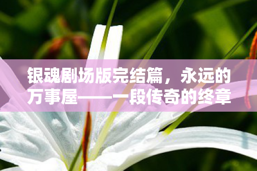 银魂剧场版完结篇,永远的万事屋——一段传奇的终章,永远的万事屋传奇终章,银魂剧场版完结篇 银魂剧场版完结篇,永远的万事屋——一段传奇的终章,永远的万事屋传奇终章,银魂剧场版完结篇
