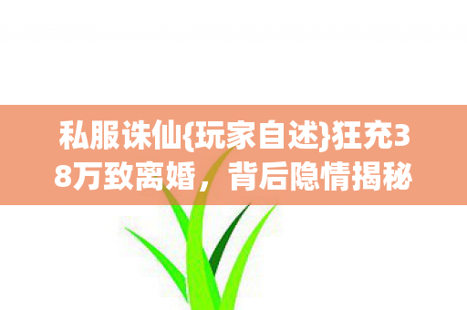 狂充38万致离婚图片
