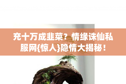 情缘诛仙私服网图片