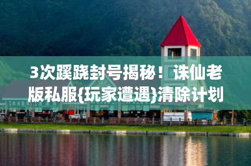 3次蹊跷封号揭秘图片