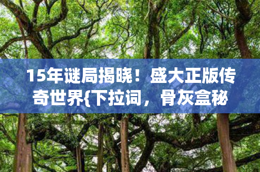 盛大正版传奇世界图片
